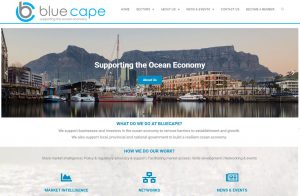 Read more about the article Blue Cape