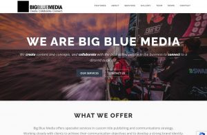 Read more about the article Big Blue Media